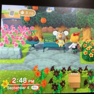 Please do not order anything, thank you!